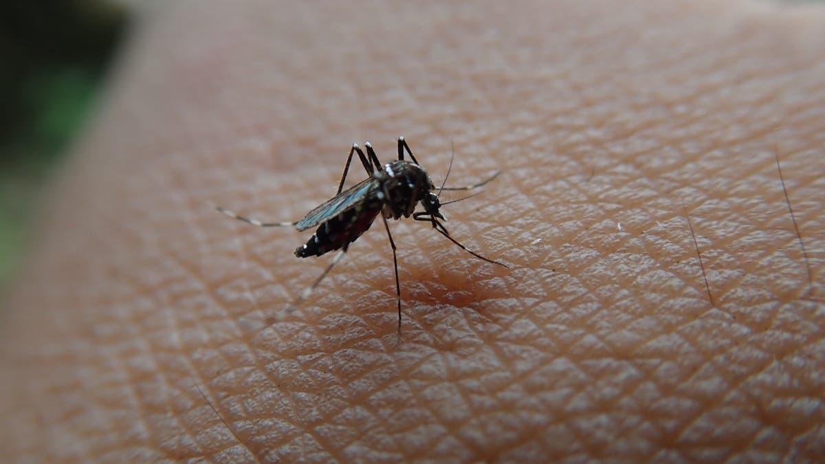 4274f3cd 16a9 4c4d 8352 7e2e343d70f4 file.jpg