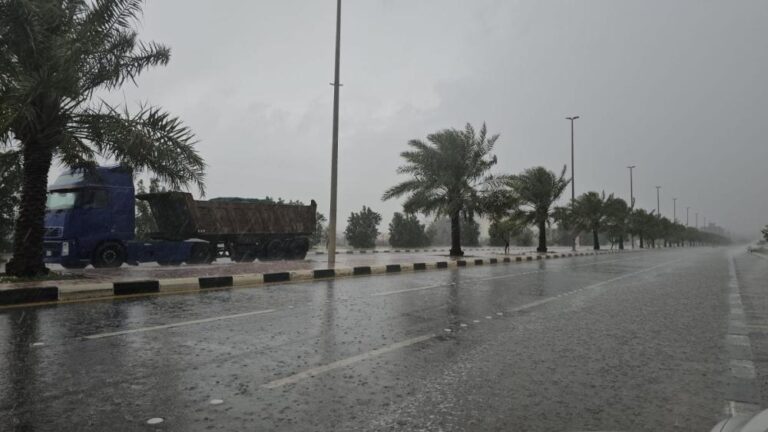 43a95894 2ca5 4f3f 8a00 3e13e263eb97 file.jpg