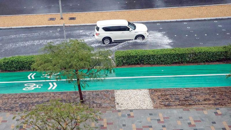 44887d16 b086 4b1f a5cf c14639d76990 file.jpg