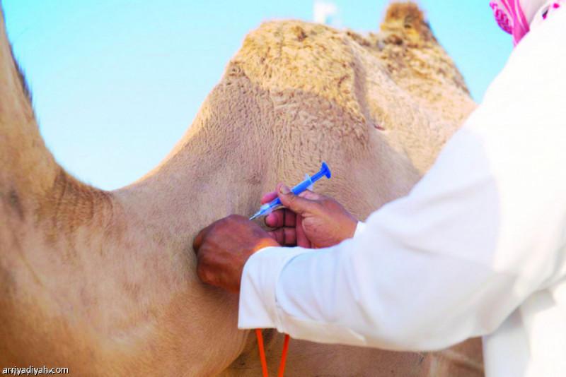 45f8a49c c611 4a19 8389 4c6299758340 file.jpg