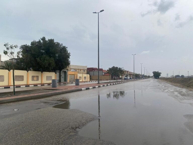 46fb31e3 35b5 45a9 9c58 c23ba124c677 file.jpg