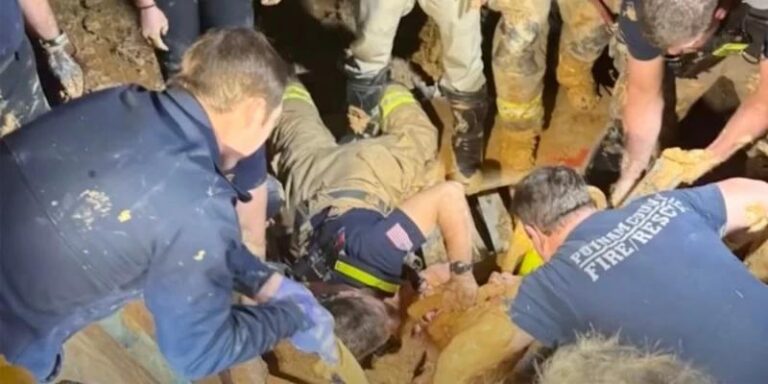 47db5434 3fdc 4ea6 946a b7c366f7d535 file.jpg