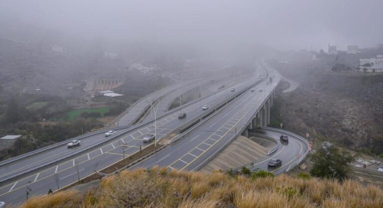 48a7e13e c011 4b87 bac8 6e84f986911c file.jpg