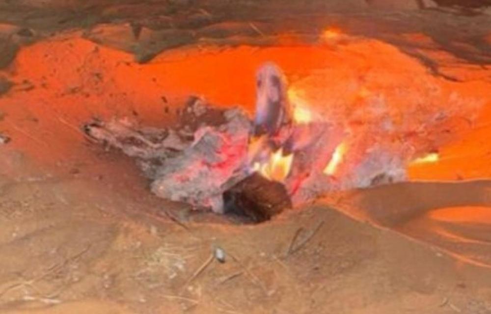 4ae5e97f 6ec5 4f94 b638 d0538254834a file.jpg