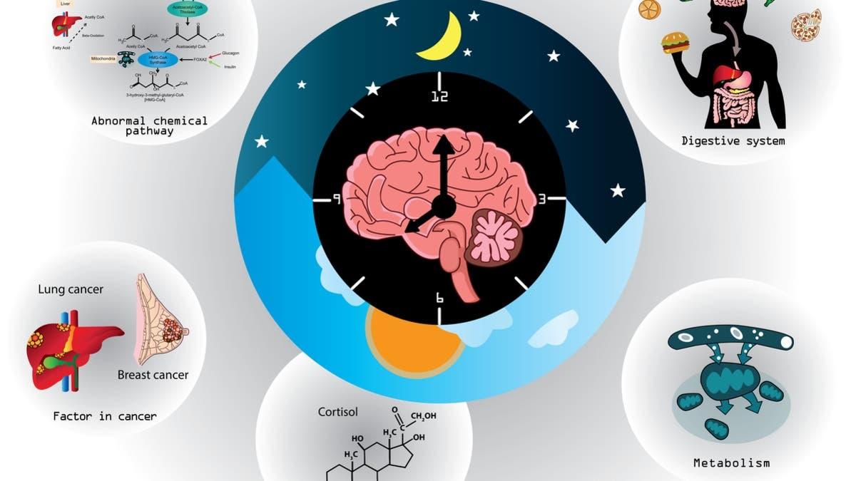 4d270911 7fb3 4f7c a7f8 7c42e75cb2da file.jpg