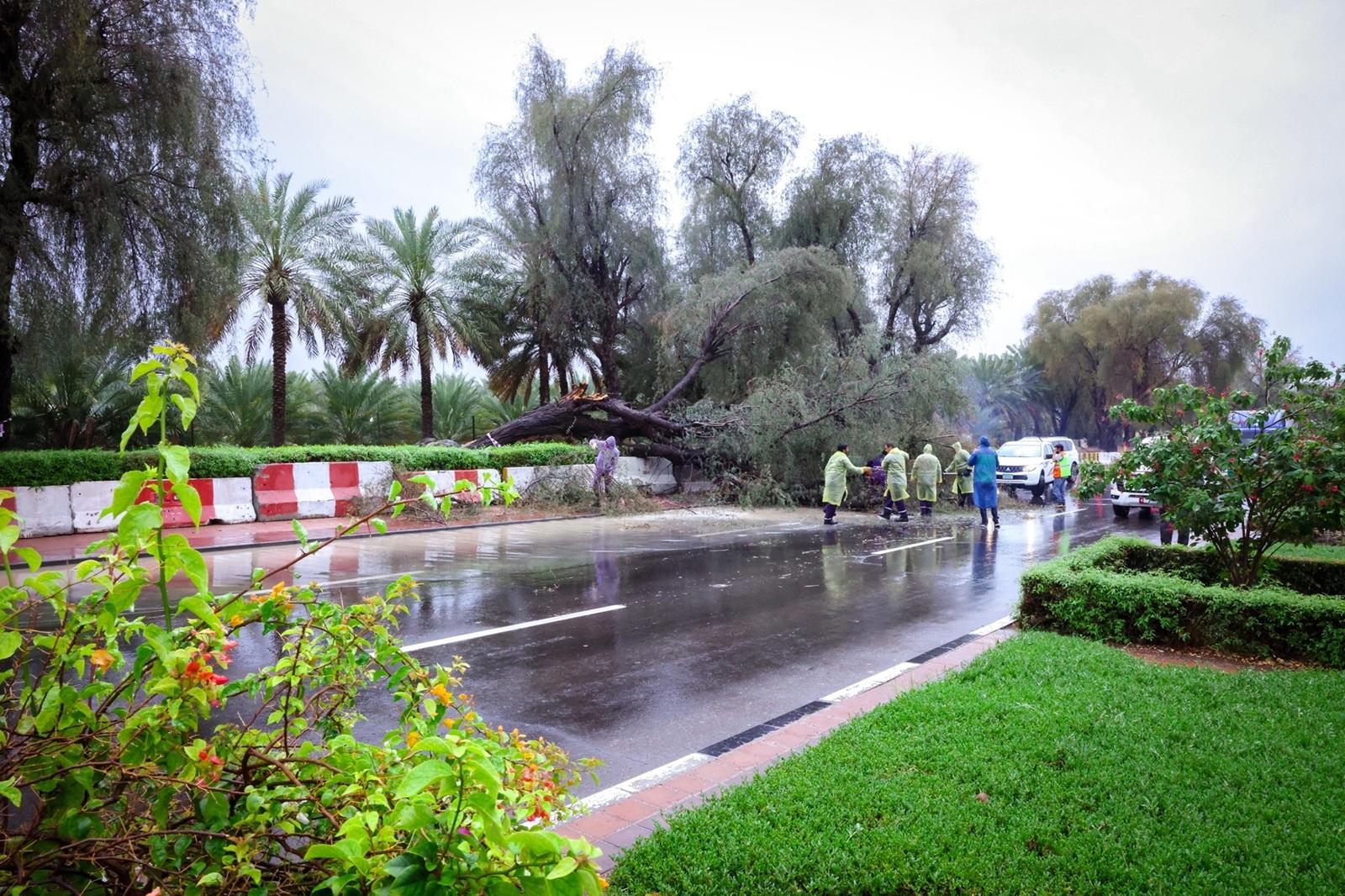 4da3139d e532 4cb4 8515 0bdbfe70d92c file.jpg