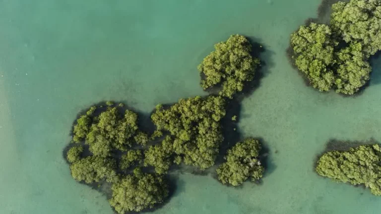 512bb844 3359 4195 be72 64d55750f198 zawta.webp