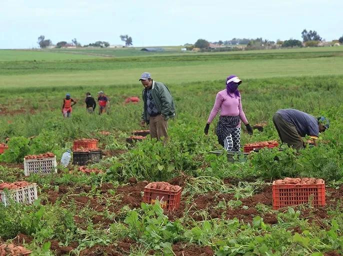 51568897 78ea 4767 8c33 18d3879b5097 file.jpg