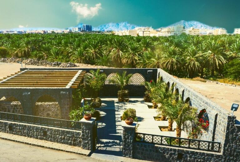 5321cec0 cc71 4e47 a240 e207700359af file.jpg