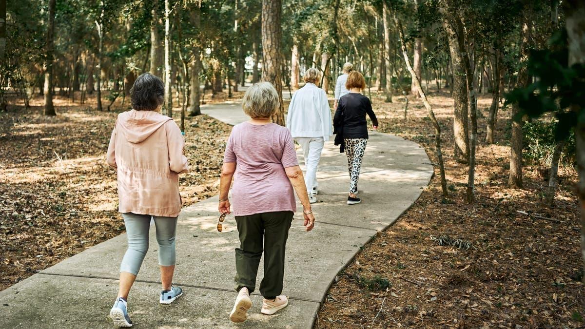 54126802 a27d 4b81 ac4b 1d780d0ed200 file.jpg