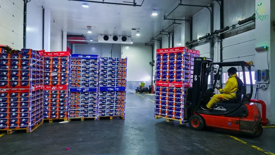 563ca72c 31a7 4a11 9f9a 3e96533aa211 zawta.webp