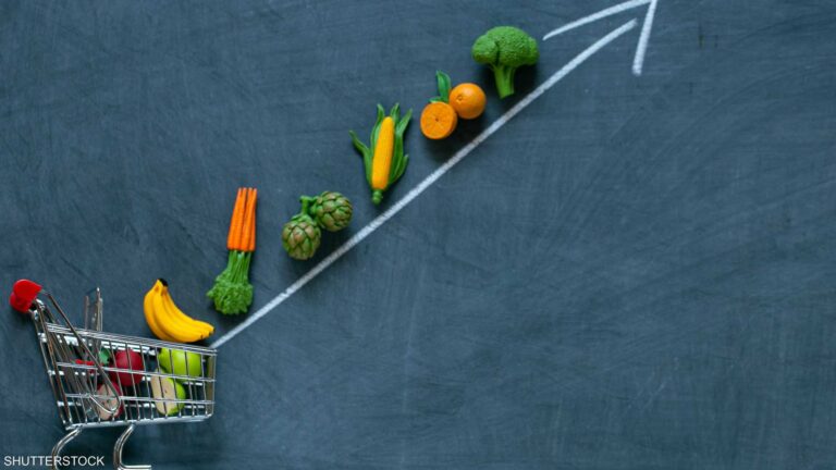 56422bac c9cd 489d bb1e d2eedb1aea26 file.jpeg