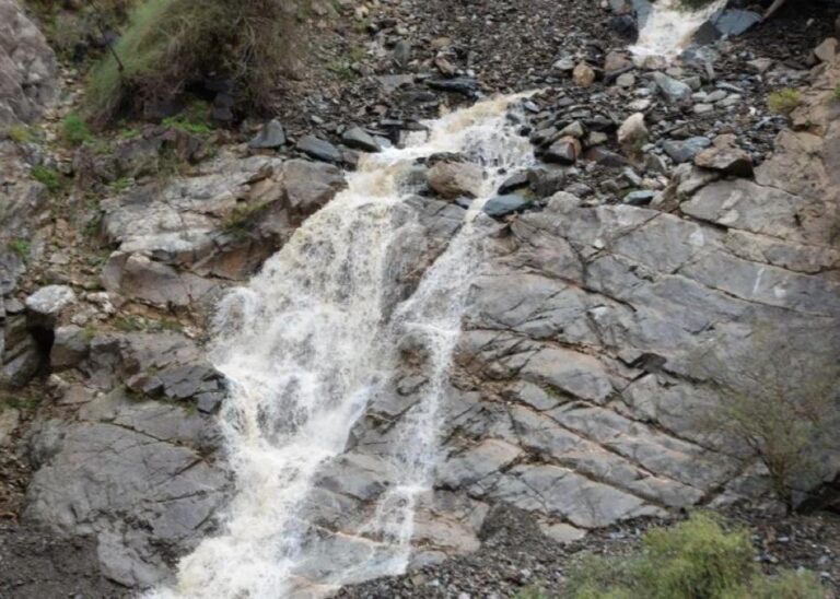 56e71dc3 6b65 49ae a1a7 6cac227a86fc file.jpg