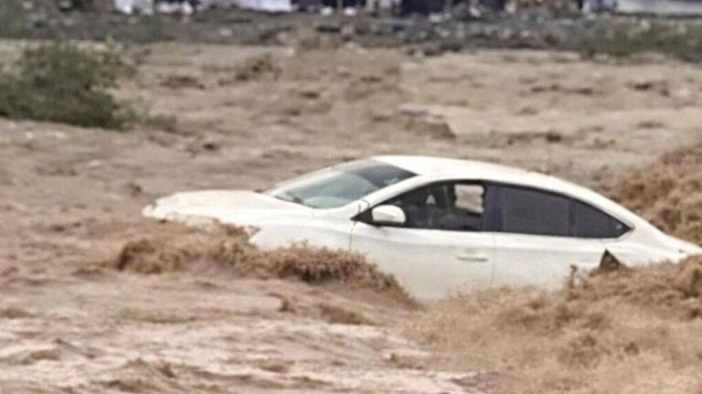 575d37ed 7843 420e 84f8 abb52c92e41f file.jpg