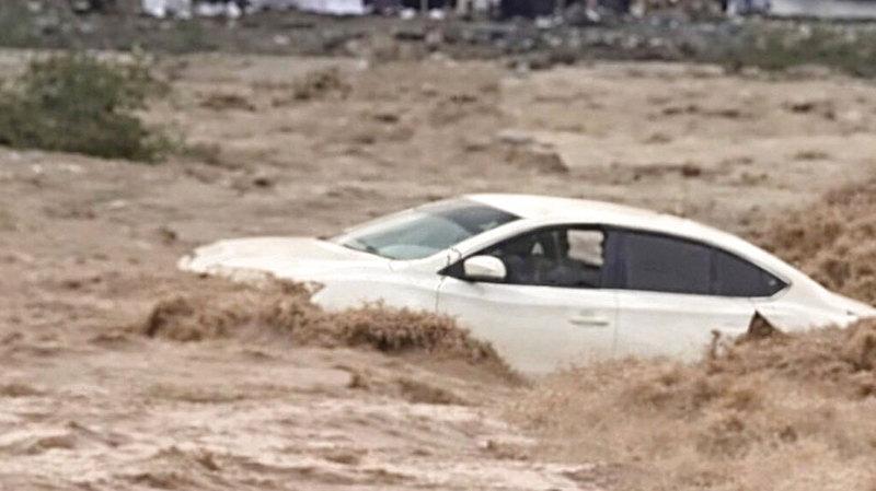 575d37ed 7843 420e 84f8 abb52c92e41f file.jpg