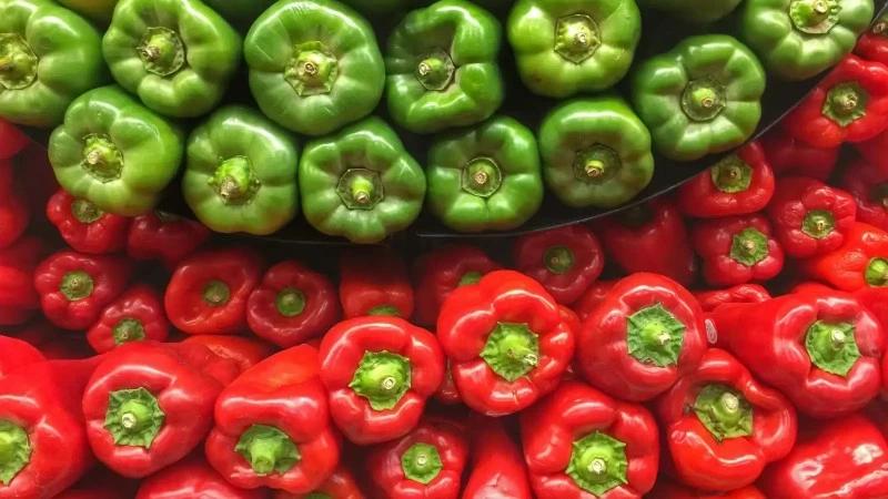 5aad27db 9317 478b a503 1154f6938e75 file.jpg