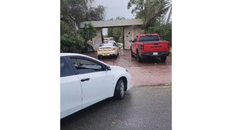 5ac76d4c d26e 44f4 b0be 71fa924fd5f4 file.jpg