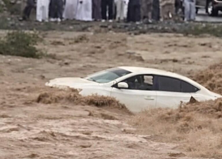 5bc7b86c 75e8 4ec8 90ae 6904124c6765 file.jpg