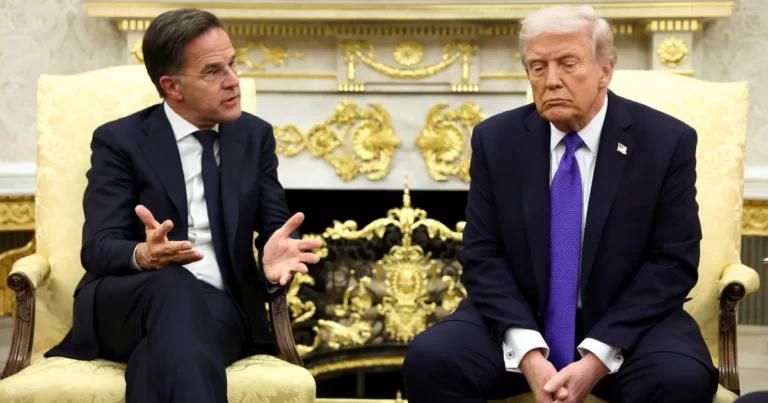 641e0549 2947 4ca4 b9bd 9adef47218e2 file.webp