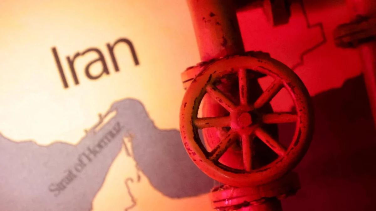 695fdabf 5c58 4b2a ac69 aa634a5ee0c6 file.jpg