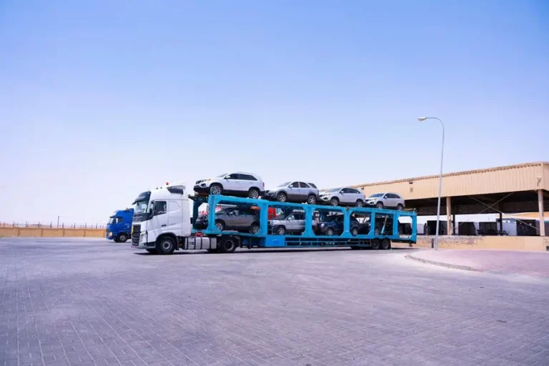 6e2c4c88 7332 4449 a052 2e7f75e2644d zawta.webp