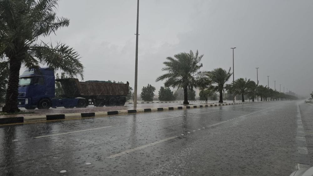 719ec41b 9389 4040 93b0 7a54674681a6 file.jpg