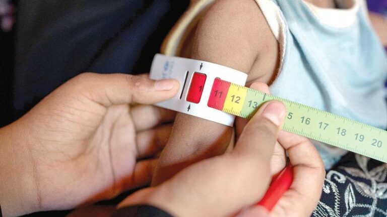 76f5a3fe 310e 4d20 a8b4 c597292a7c0c file.jpg