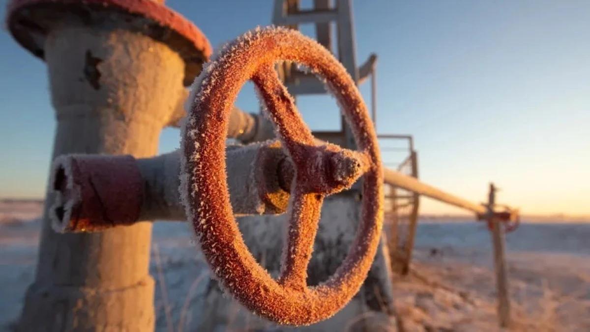 78e022d3 2305 4714 9263 59b2460ada57 file.jpg