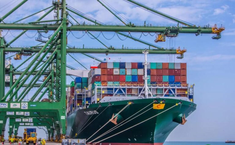 79198774 ba2b 4cc2 9b40 ca203b3fda1e file.jpg