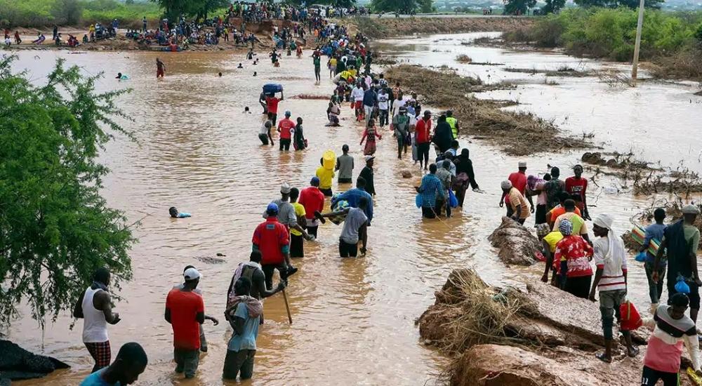 7bb2e2aa a720 447e b001 84322d32df1e file.jpg