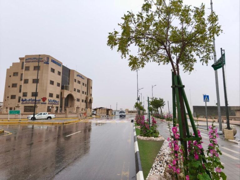 7d2322b0 18ff 4809 9ce5 b0a37739da01 file.jpg