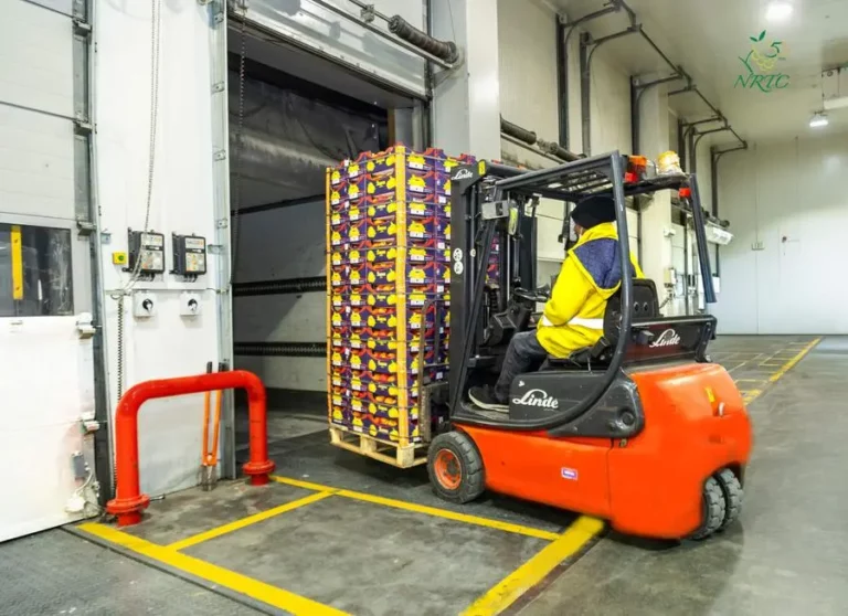 7d70f443 e173 4a09 bcc1 b24394a67bbb zawta.webp