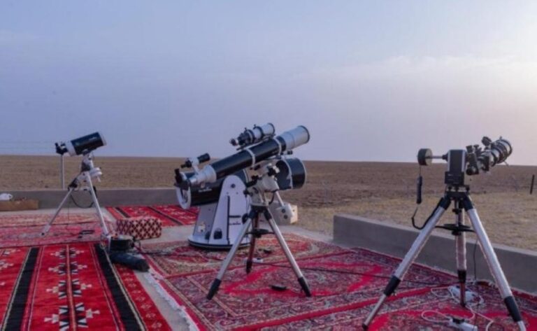 7e86624d 561b 4b70 8368 4b8ab67eaeae file.jpg