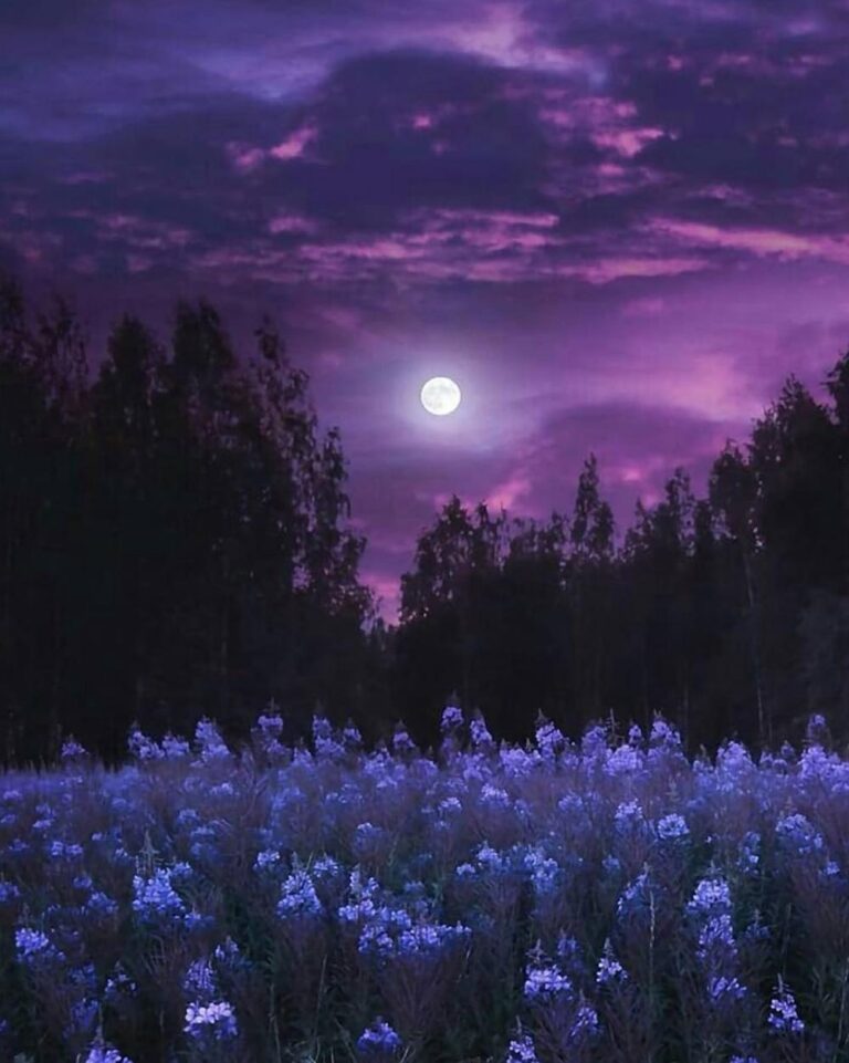 7f9c31cd f53b 46a7 b4f1 20574895432c file.jpg