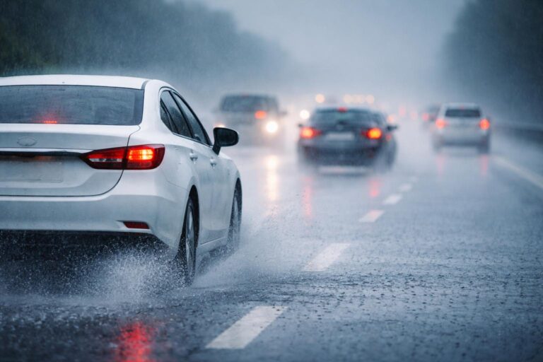 7fceaa9d baf1 4f95 9b92 25d6083fac1f file.jpg