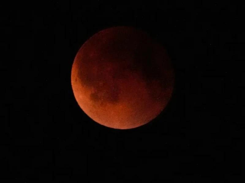 8016452e 4c23 4898 bdef 156c24479daa file.jpg