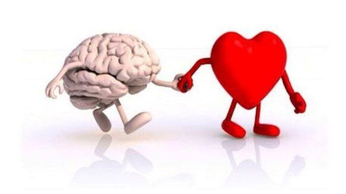 81e31031 2e9a 43f4 966a ed4f5cac5619 file.jpg