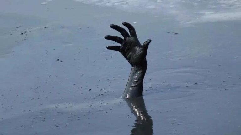 82fa6779 84c2 4dbb 94f2 2e8d363855d4 file.jpg