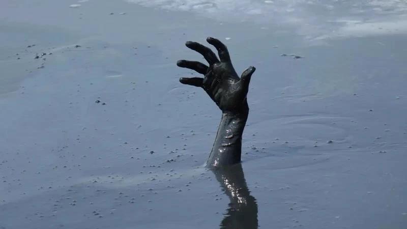 82fa6779 84c2 4dbb 94f2 2e8d363855d4 file.jpg