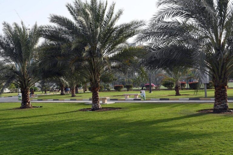 8478b881 a35a 4f50 9d18 c1772f53d4d3 file.jpg