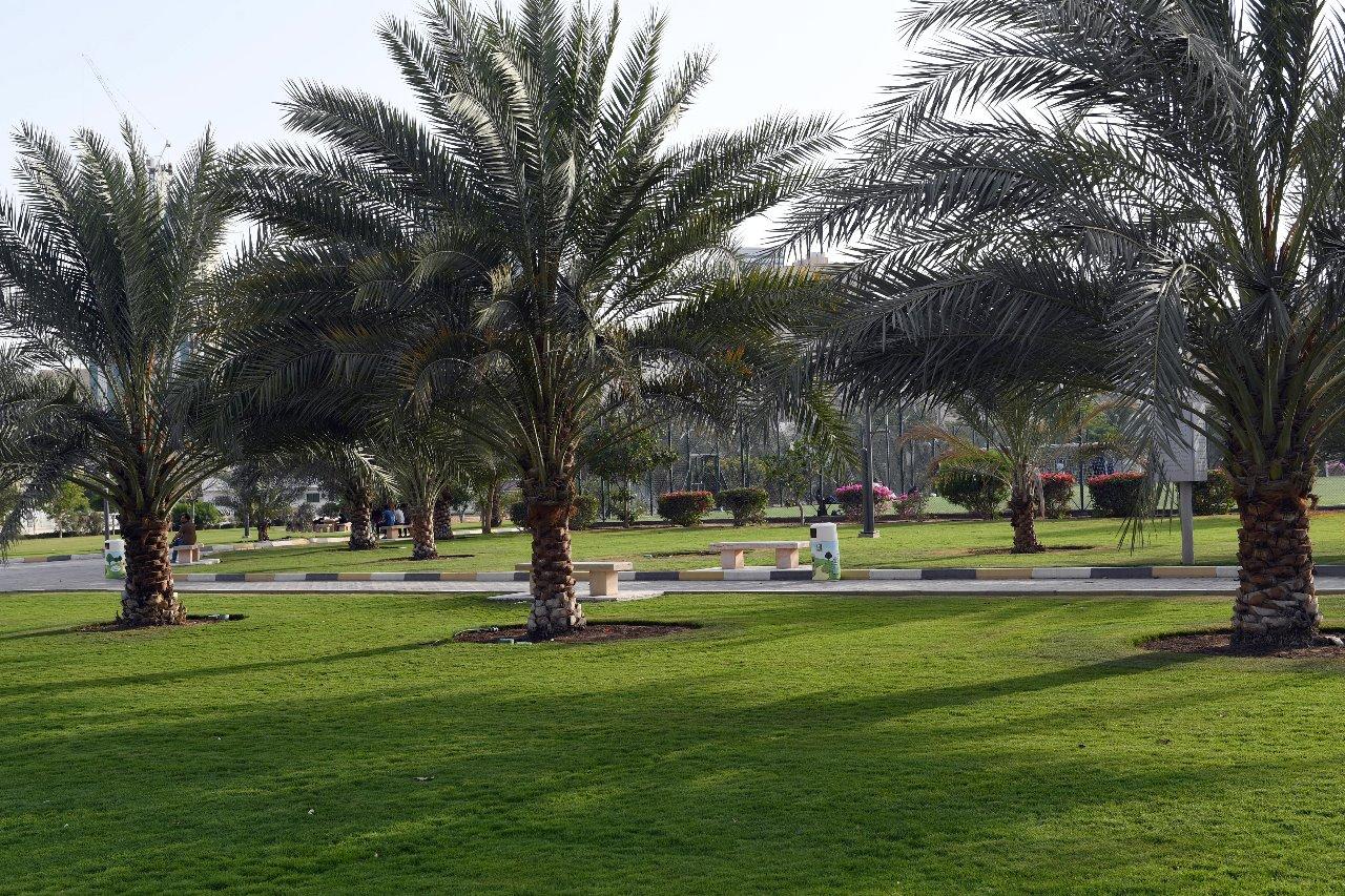 8478b881 a35a 4f50 9d18 c1772f53d4d3 file.jpg