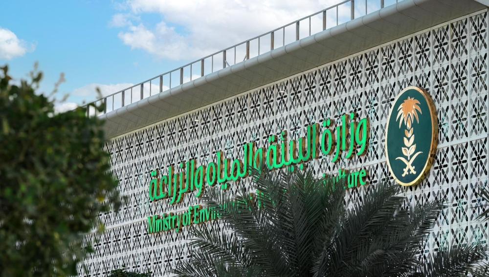 880e4a3a 2db3 4155 b540 fe31431d57cb file.jpg