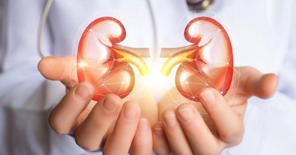 8adf6daf d16a 4b94 801b f2055ac8788b file.jpg