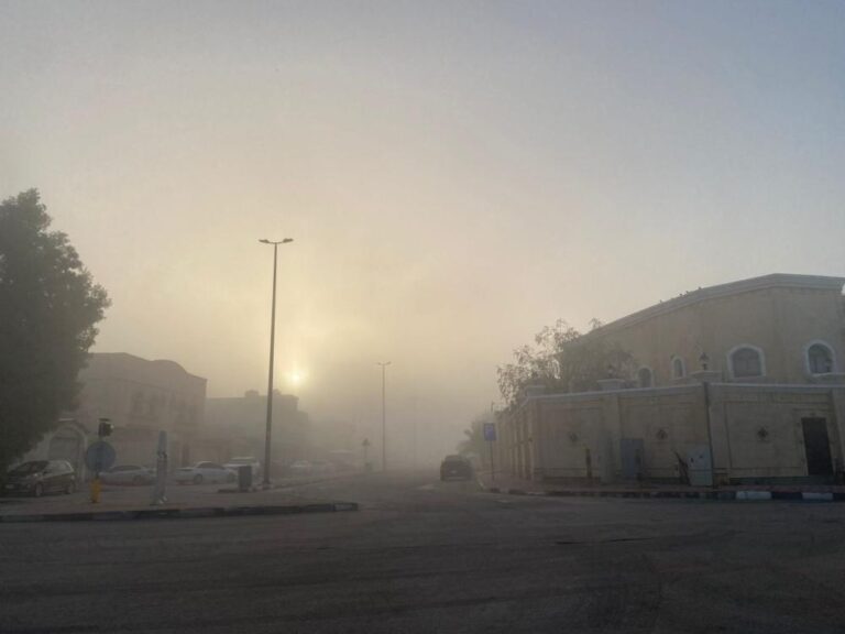 8b0bfdb1 9770 4314 ac61 15bde9c16a70 file.jpg