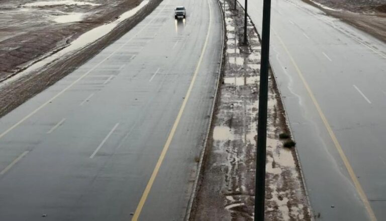 8c5978bf c077 4078 b576 d5e436dd1e42 file.jpg