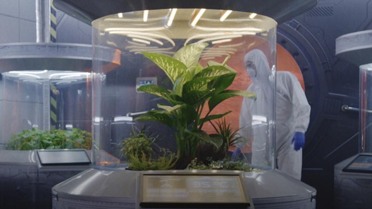 8d39f72e c011 4126 b6c6 5c50adf8d10b file.jpg