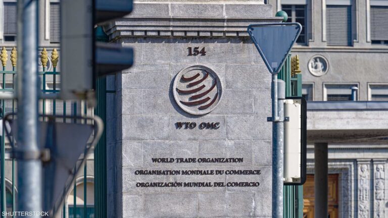 8ebfc04b 16f8 420a aa30 52a2c88e38fb file.jpeg