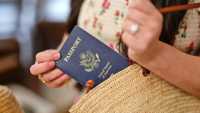 8ee7e3f2 24c2 407f bd69 315d0ba45513 file.jpg