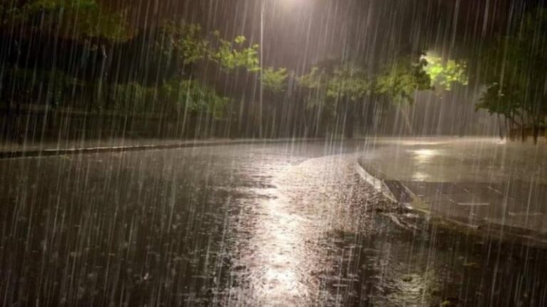 8f78d36e fd89 48ed ad55 f74282c50a57 file.jpg