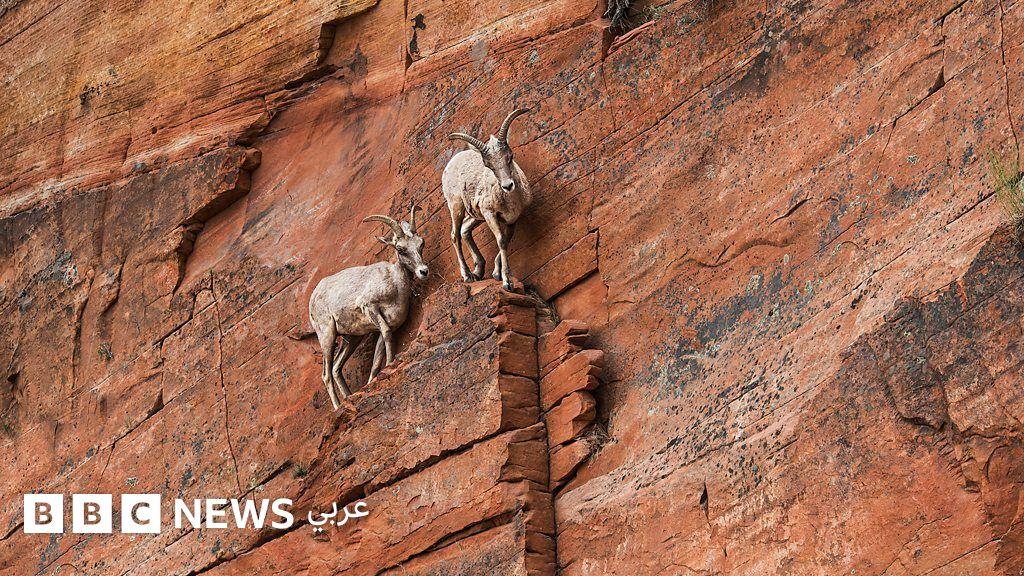 92fe93de f8e4 49f9 997a 2111b07c1770 file.jpg